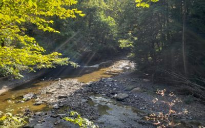 GUCI Nature Exploration Series: Part Three (Hiking In Ohio)