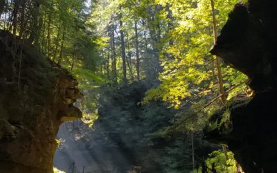 GUCI Nature Exploration Series: Part Two (Hiking In Indiana)