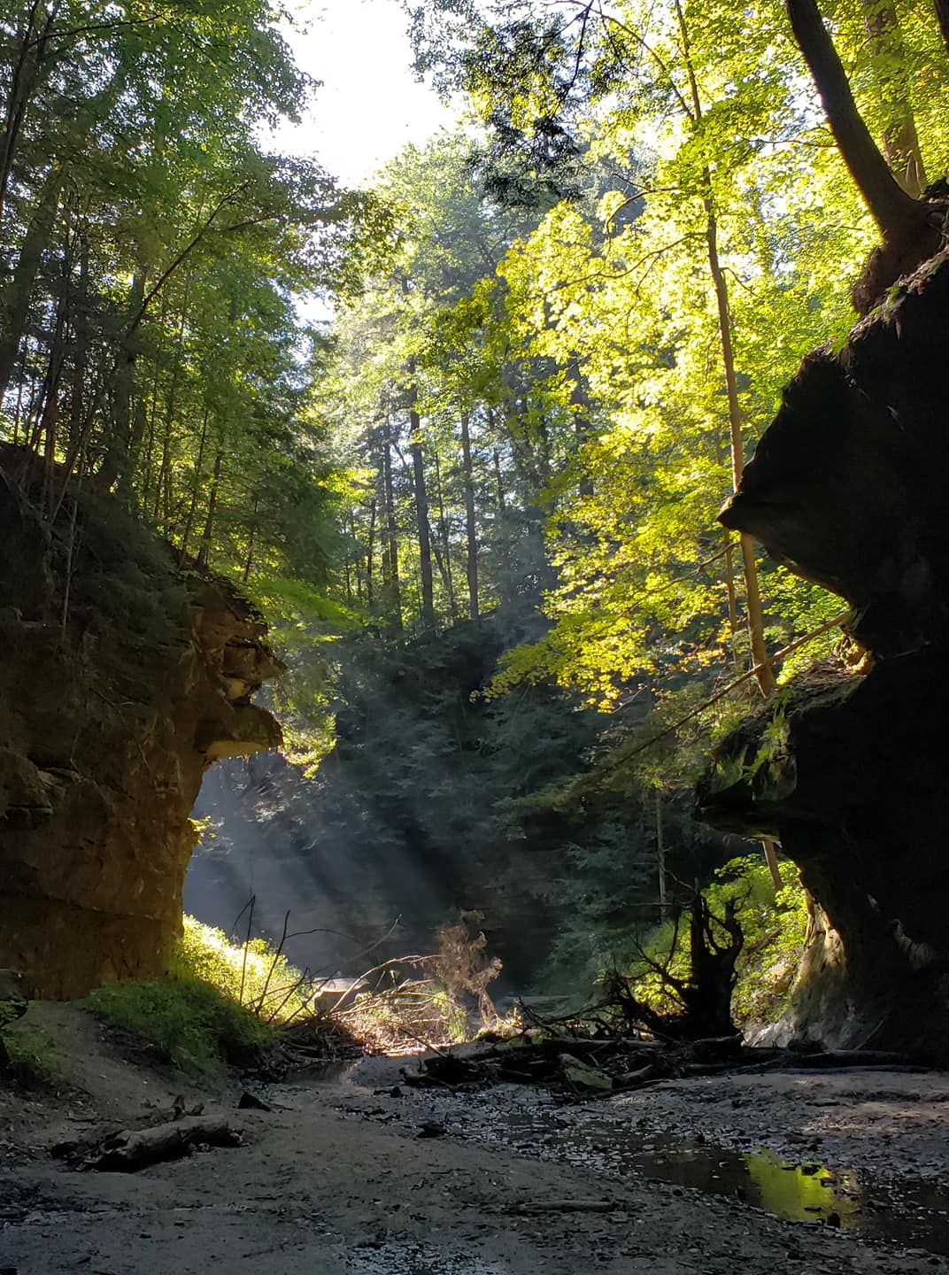 Knobstone trail outlet camping