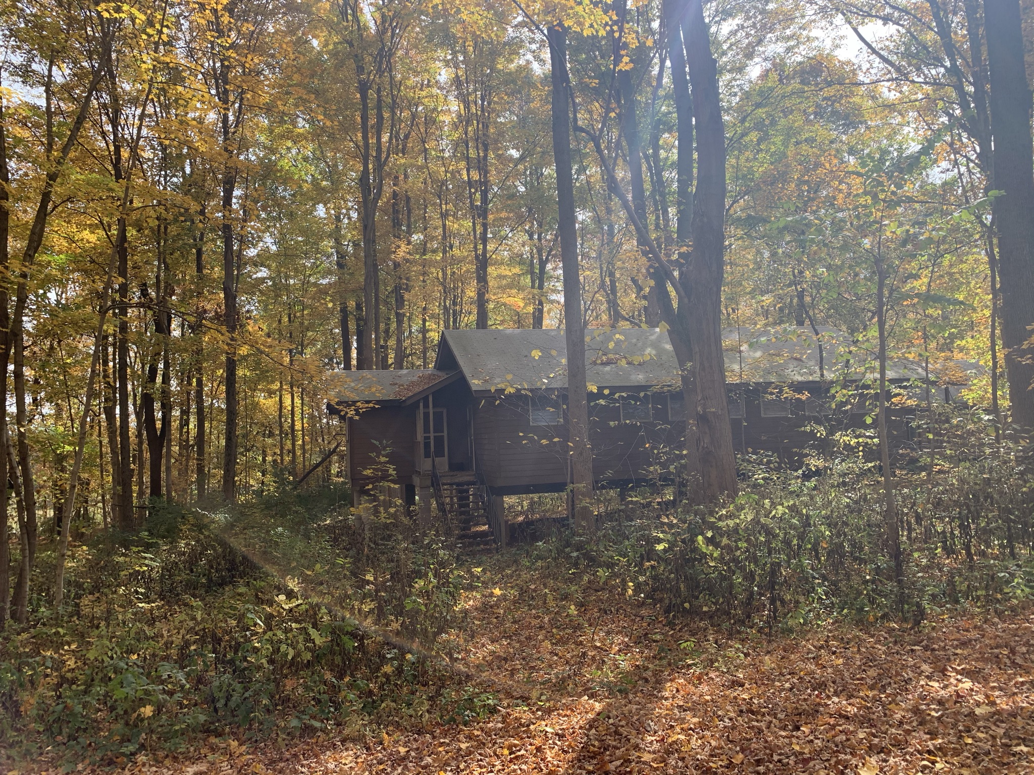 Staying Healthy GUCI Goldman Union Camp Institute